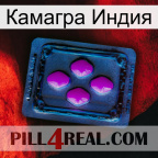 Камагра Индия 04